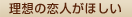理想の恋人がほしい